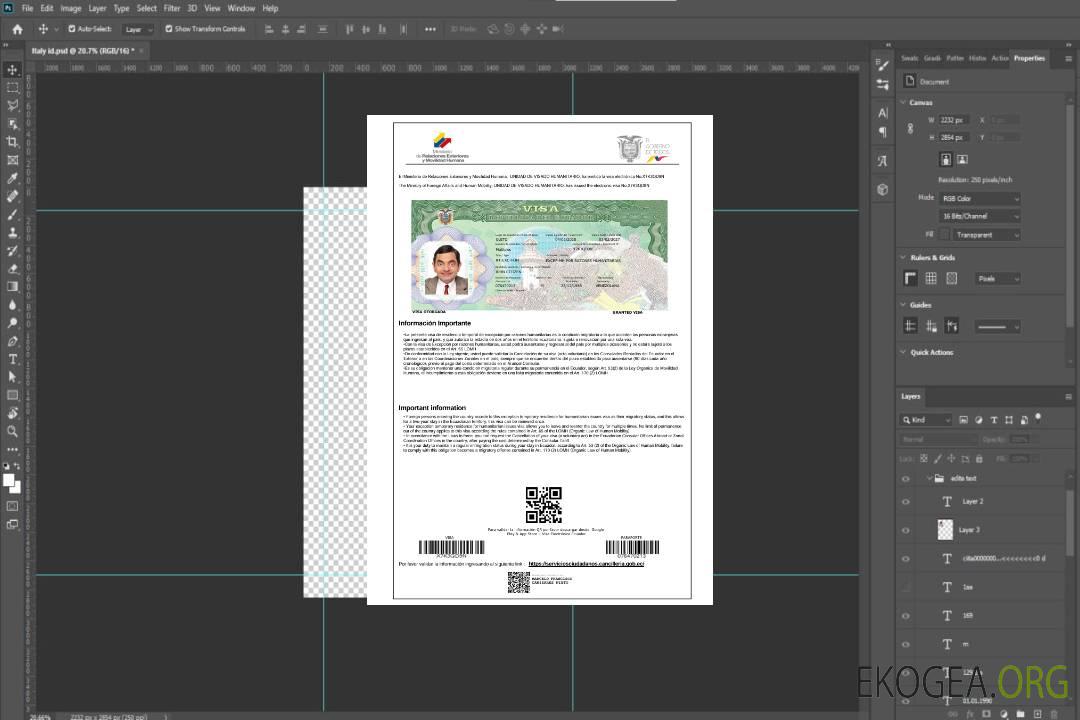 Modèle de visa de voyage pour l'Équateur aux formats Word et PDF, version 2 template